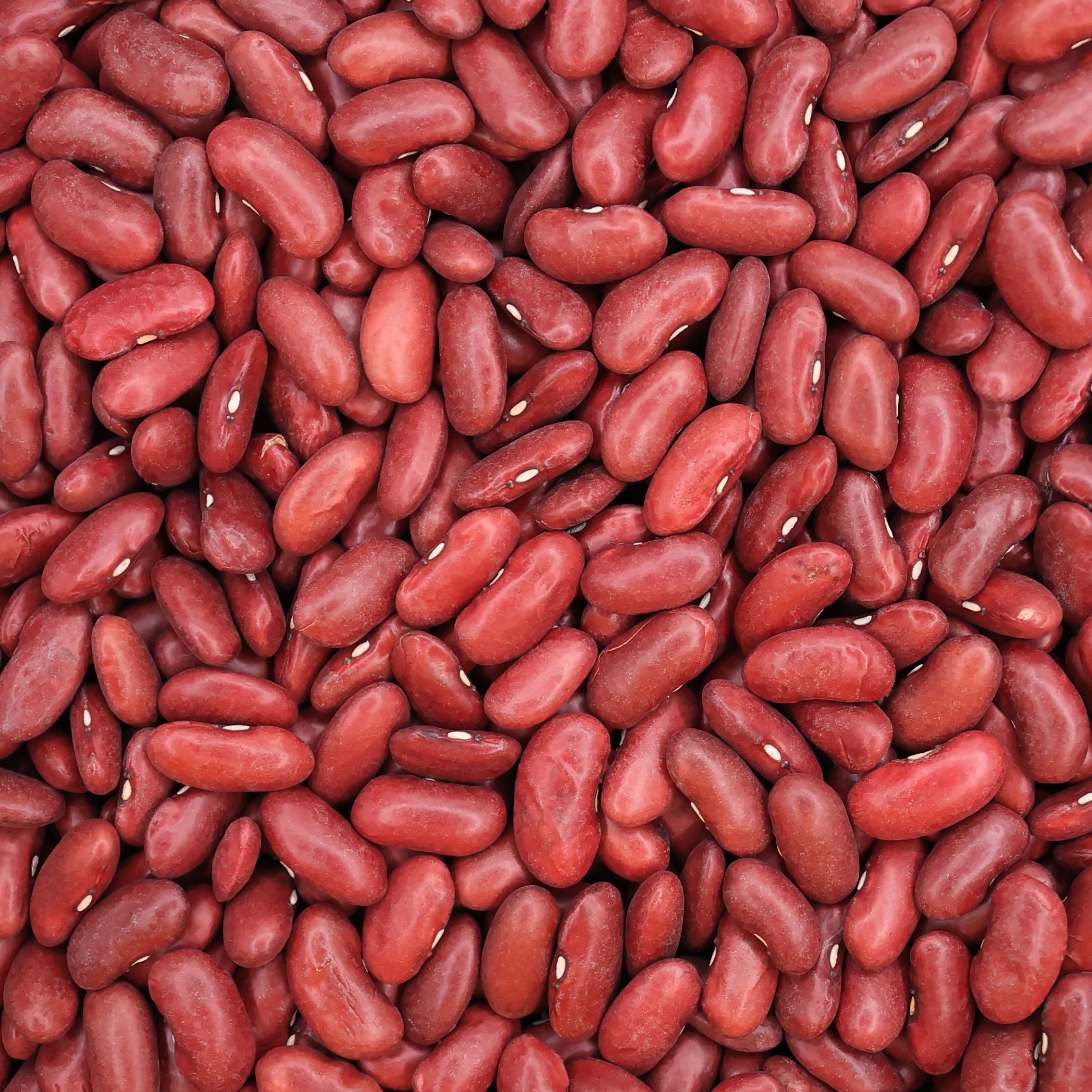 Rote Bohnen