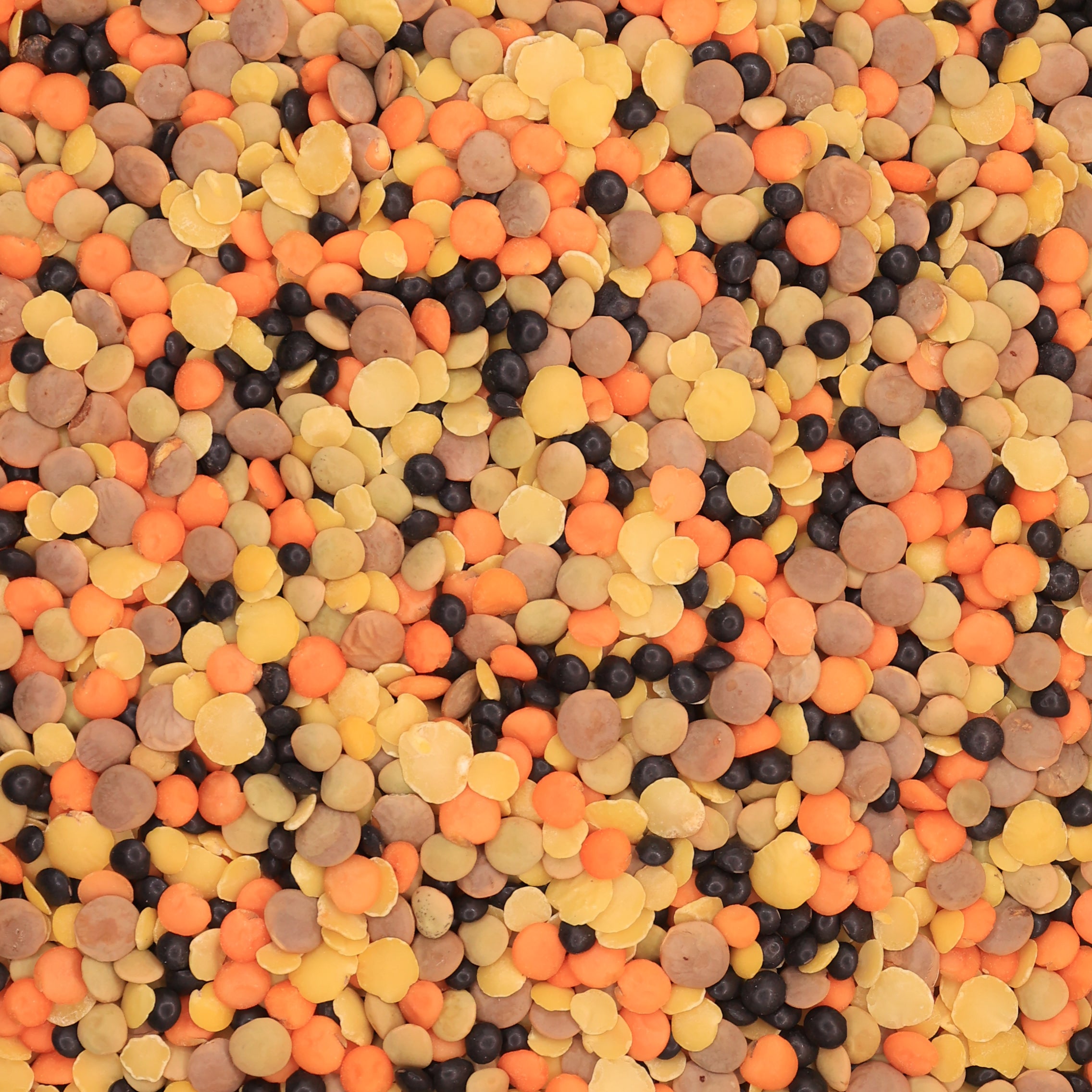 Linsenmix