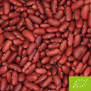Rote Bohnen Bio