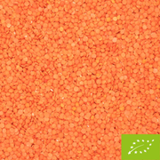 Rote Linsen Bio