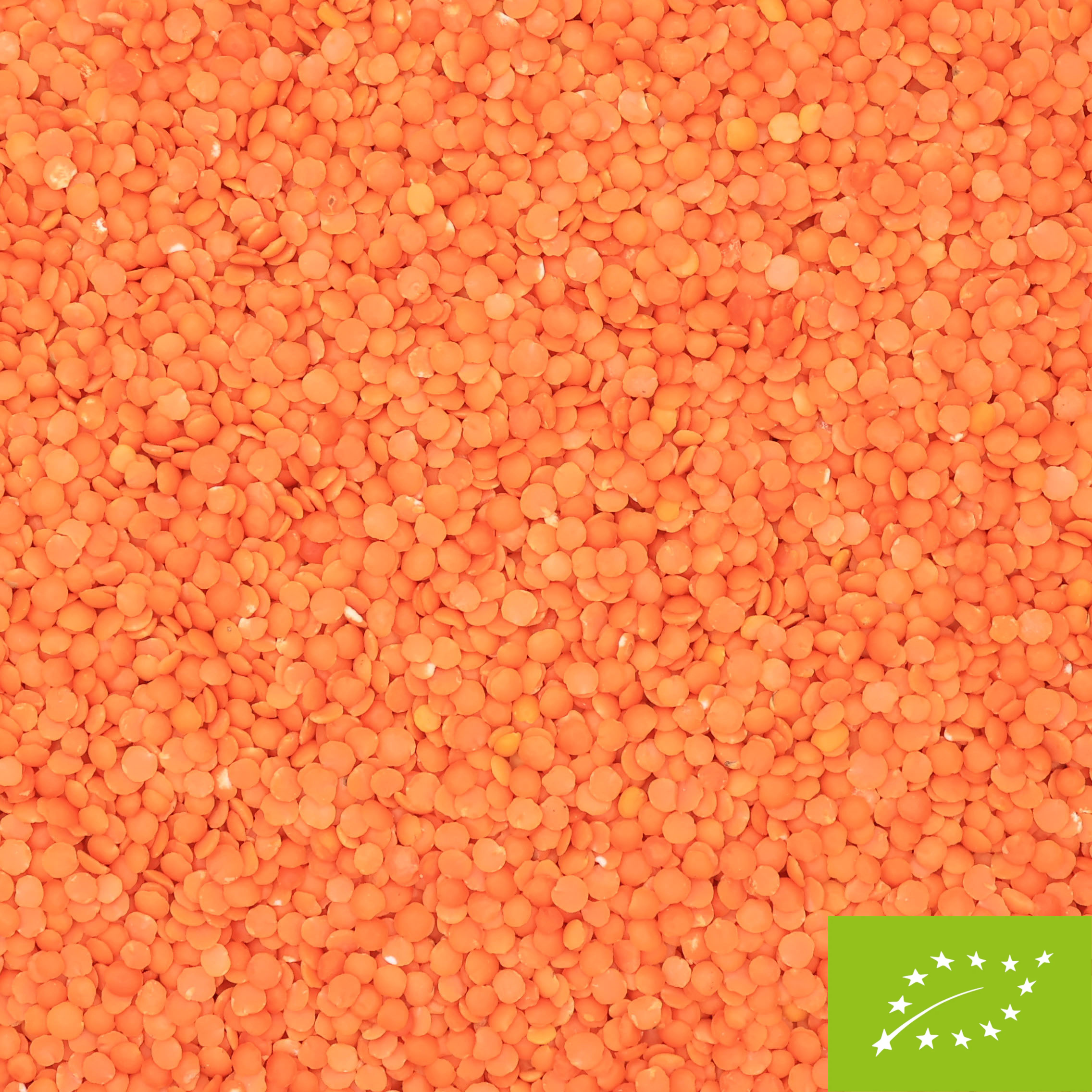 Rote Linsen Bio